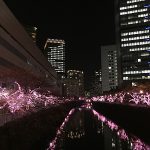 普通をあきらめる