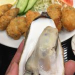 出張トナカイin仙台 飯テロ編