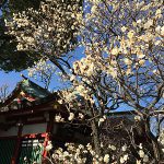 風と水のすれ違い