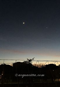 金星逆行中〜いかがですか