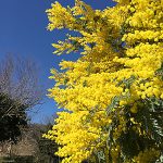 イタリアの旅4・歌手と占い師の意外な共通点