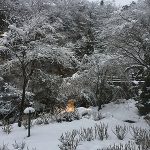 中年よ、野望を抱け・活動宮爆裂☆箱根&寒川ツアーレポ