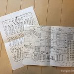 噂のラーフ期に迫る!〜インド占星術体験記〜