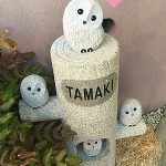 見る力と伝える力