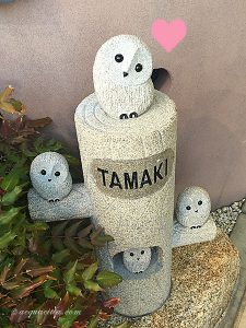 見る力と伝える力