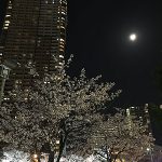 怠けると体調が悪くなる