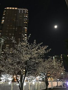怠けると体調が悪くなる
