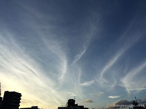 エレメンツ別に見る「心配の仕方」