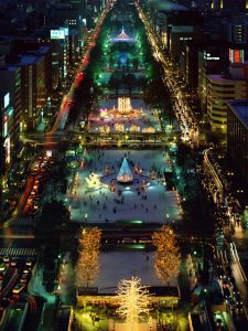 11/25(日)札幌出張鑑定をやります!