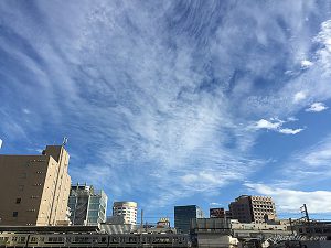 依存ちゃんがやってきた