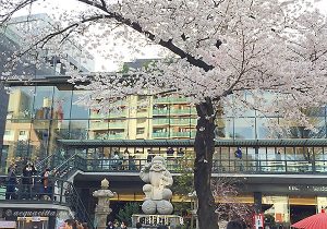 4/20(土)西洋占星術で見る金運・財運講座