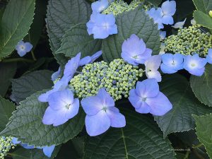 最近の星の動き☆イライラ注意報発令中