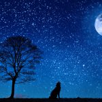 ムーンカレンダー活用法～ルナリターンに注意！