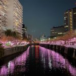 偏ってる人の生きる道