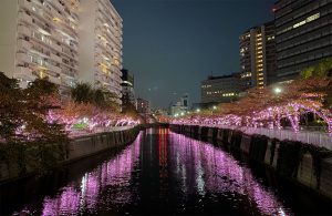 偏ってる人の生きる道
