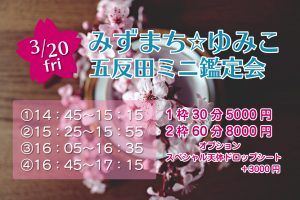 3/20春分の日 五反田ミニ鑑定会