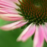 個人的に過去の水瓶土星を振り返る