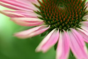 個人的に過去の水瓶土星を振り返る