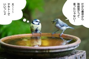 みなさんの水星と取説事情