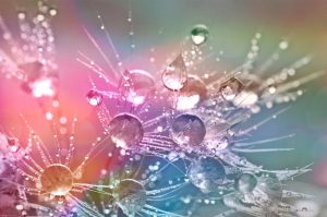 魚座に火星が入りました