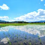 天王星が持ってくるもの