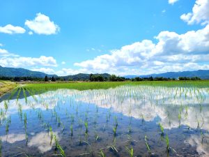 天王星が持ってくるもの