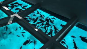 静かな水に浮くガラス底ボート