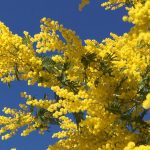 潜在意識に逆らえないービジョンマップ体験記