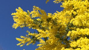 潜在意識に逆らえないービジョンマップ体験記