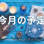 今月の予定