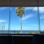 水分補給の夏休み