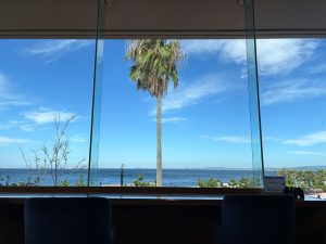 水分補給の夏休み