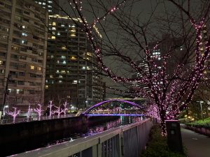 獅子座木星回帰を振り返る